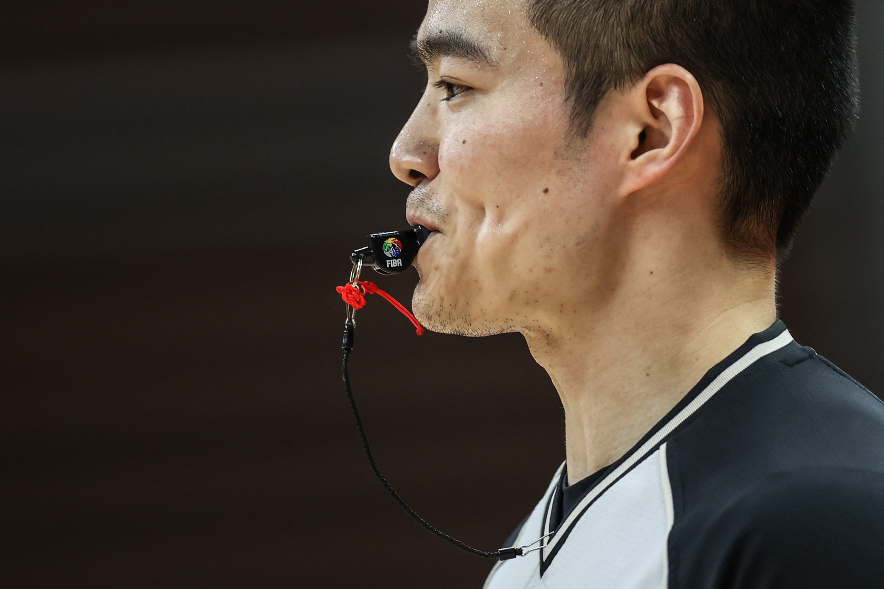 问鼎-包含险胜首场状态出色，FPX观众沸腾！，蒂姆重返赛场赛场气氛高涨的词条